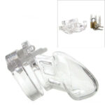 CB-6000S Clear Male Chastity Device in 2.5 Inch