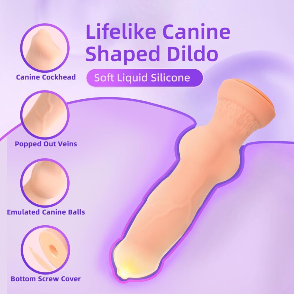 Adjustable vibrating strap-on with remote bullet and harness laid out on white background