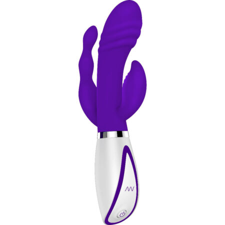 Disco Triple Play Rechargeable 3 Powerful Motors